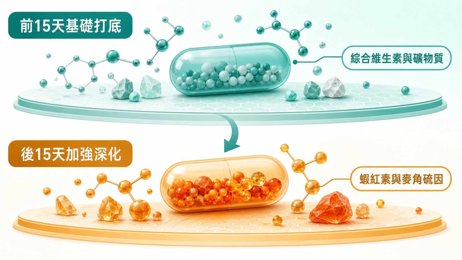 穀胱甘肽補充與兩階段日常保養節奏圖 | 上半部前15天基礎打底，用綜合維生素與礦物質把營養基線顧穩；下半部後15天加強深化，用蝦紅素與麥角硫因這類加強配方，對應一整套日常保養的前後節奏。