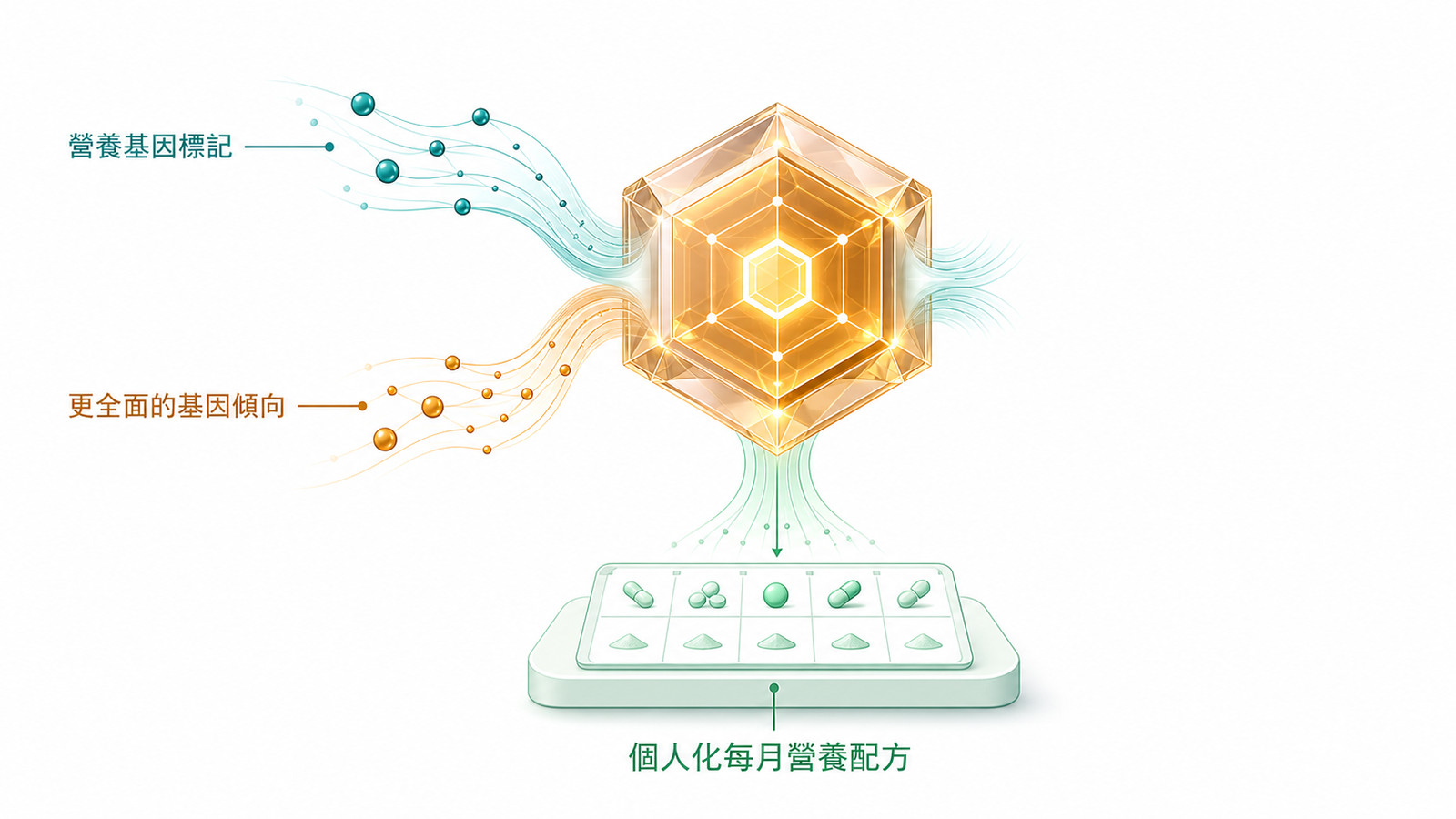 Personalized antioxidant-supplement logic: genetic tendencies for 22 nutrients plus broader genetic tendencies enter BLNC’s algorithm together and are organized into personalized monthly nutrition formulas.