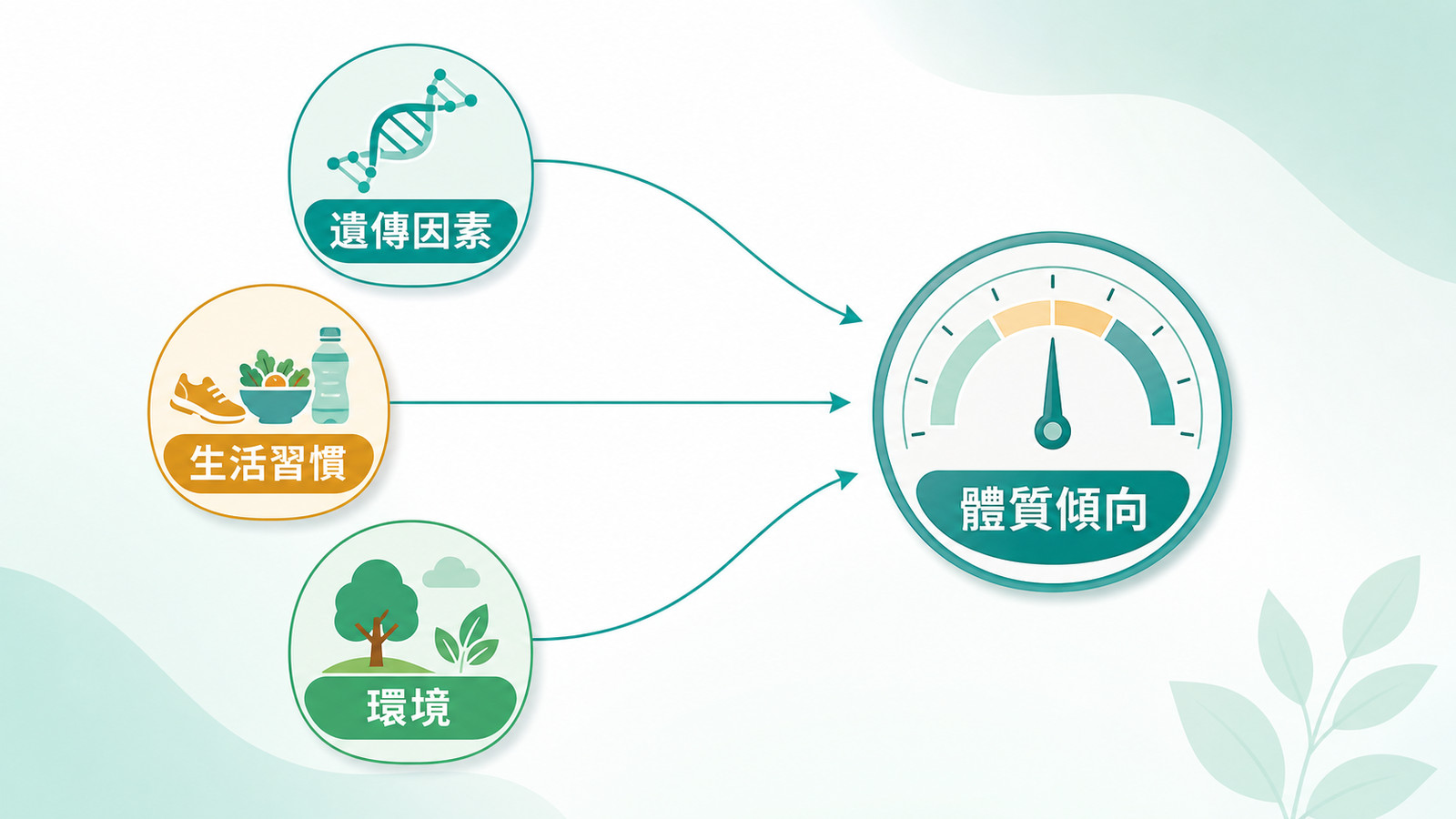 Factors shaping antioxidant tendencies: genetic factors, lifestyle habits, and the environment all feed into an individual’s antioxidant tendencies as a neutral overview of individual biological differences.