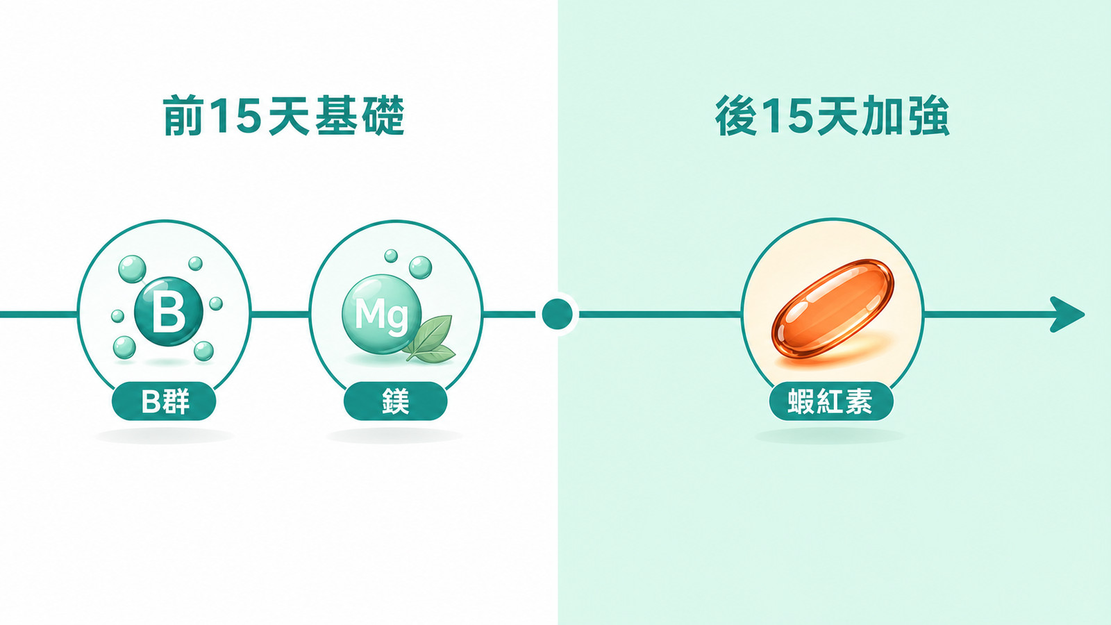 運動保健食品 | 兩階段月配方：前 15 天基礎打底（B群、鎂），後 15 天進階加強（蝦紅素）。