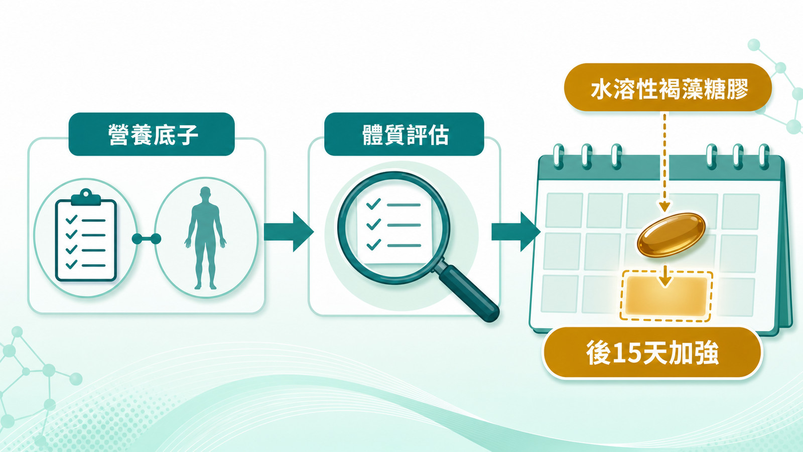 褐藻糖膠功效 | 評估流程：先看你的營養底子與更全面的基因傾向，綜合判讀後決定水溶性褐藻糖膠要不要排入後 15 天加強階段。