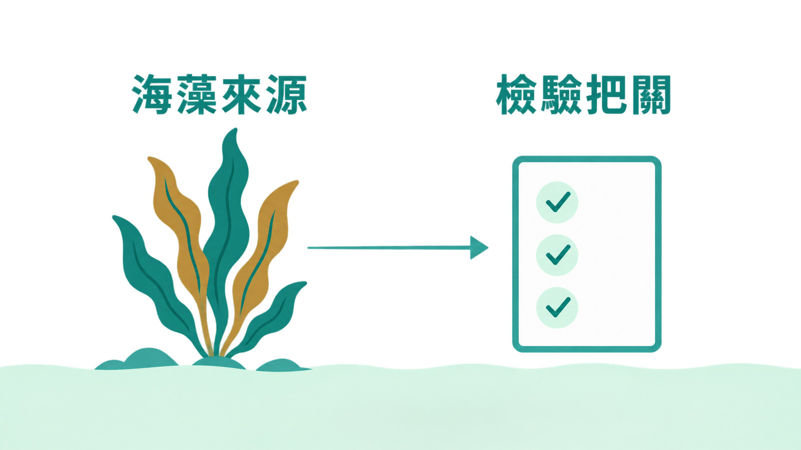 褐藻醣膠功效 | 挑選重點：海藻來源與碘、重金屬檢驗把關，是挑褐藻醣膠時看得到的依據（示意）。