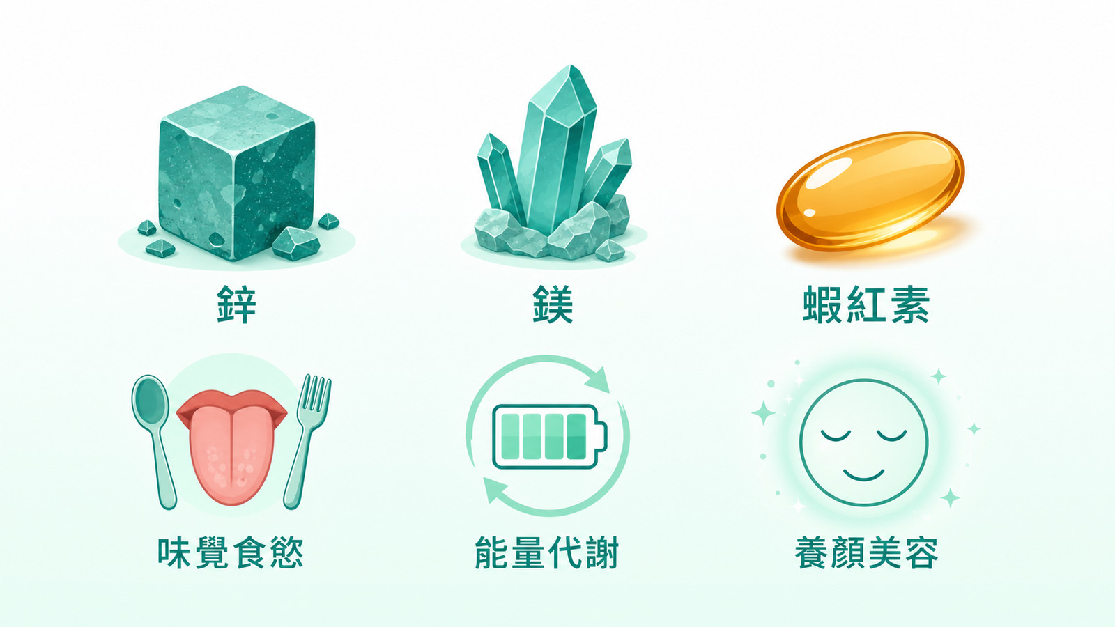男性保健食品 | 鋅、鎂的營養功能與蝦紅素的日常保養定位示意。