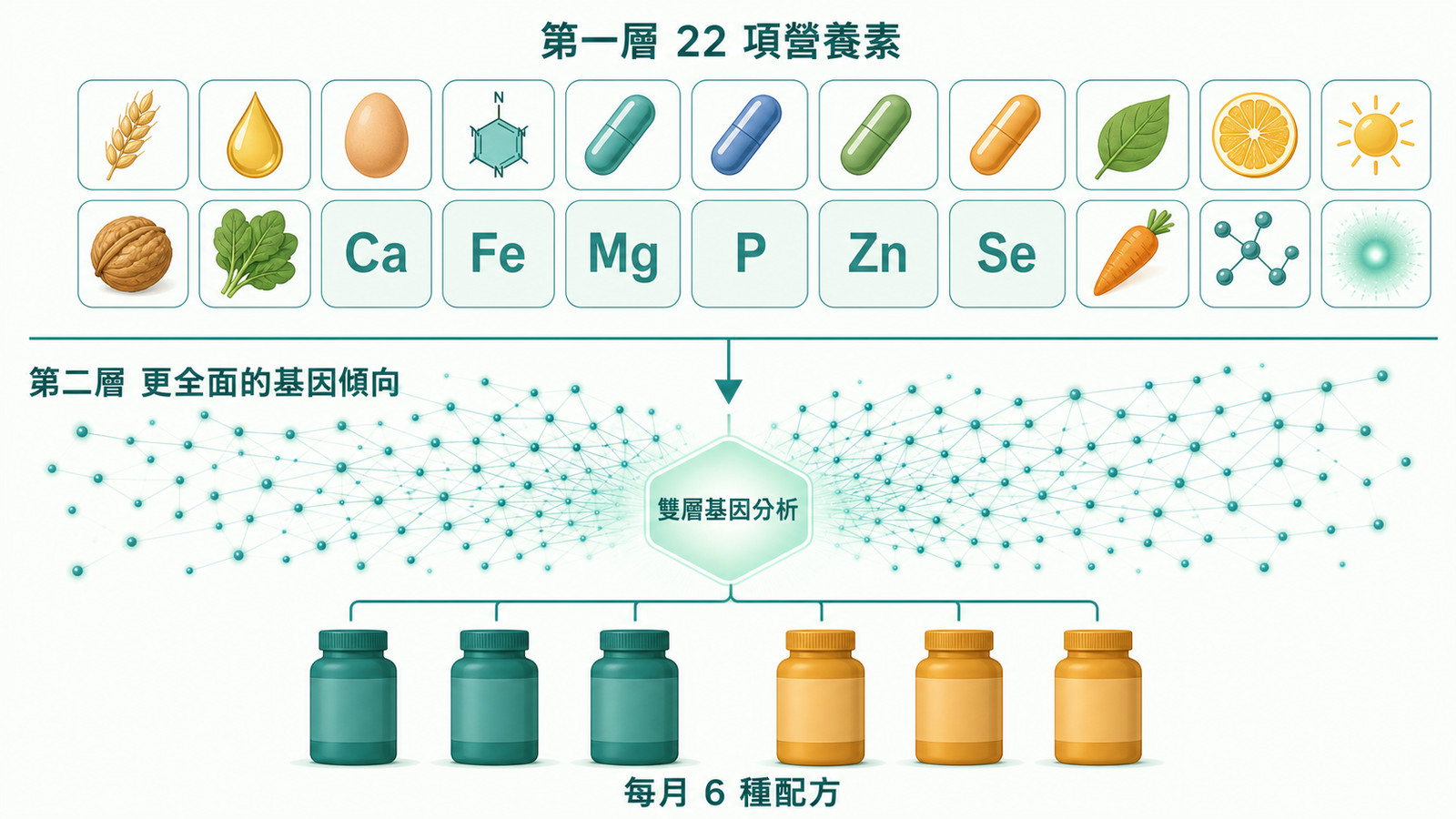精準營養 | 雙層演算法：上層為清楚可數的 22 項營養素基因標記、下層為更全面的基因傾向抽象圖示分層呈現，經雙層基因分析在中央節點綜合判讀，挑出每月 6 種配方。