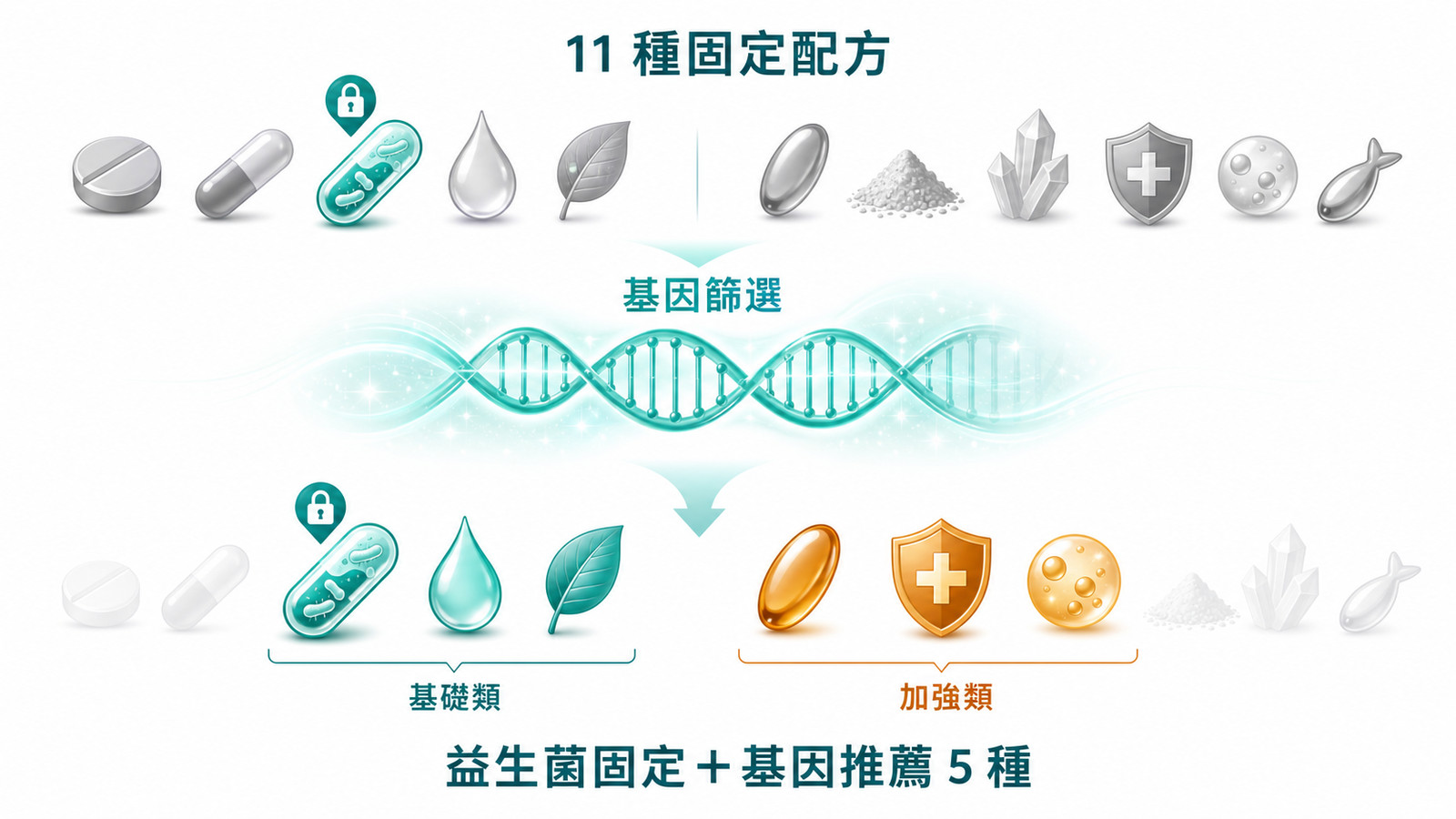 精準營養 | 11 選 6 篩選：DNA 基因篩選器從 11 種固定配方（含益生菌）挑出 6 種，標示益生菌固定＋基因推薦 5 種，左側基礎類為 teal、右側加強類為琥珀色，其餘淡出。
