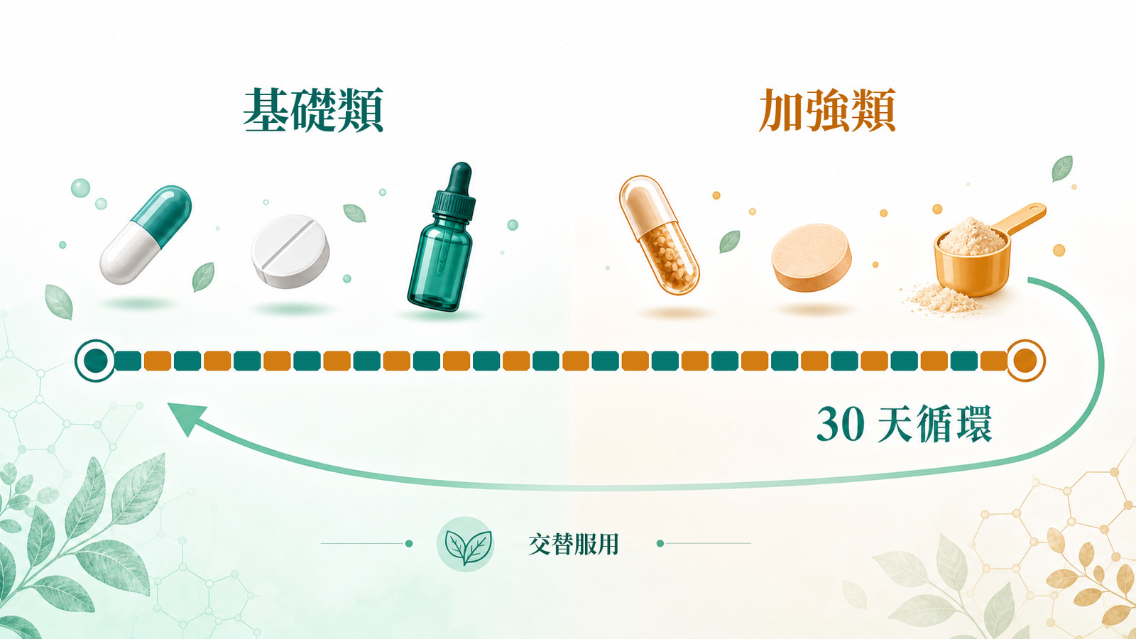 精準營養 | 30 天節奏：基礎類以 teal、加強類以琥珀色呈現，兩組隔天交替，箭頭顯示 30 天循環，呼應精準營養的服用節奏。