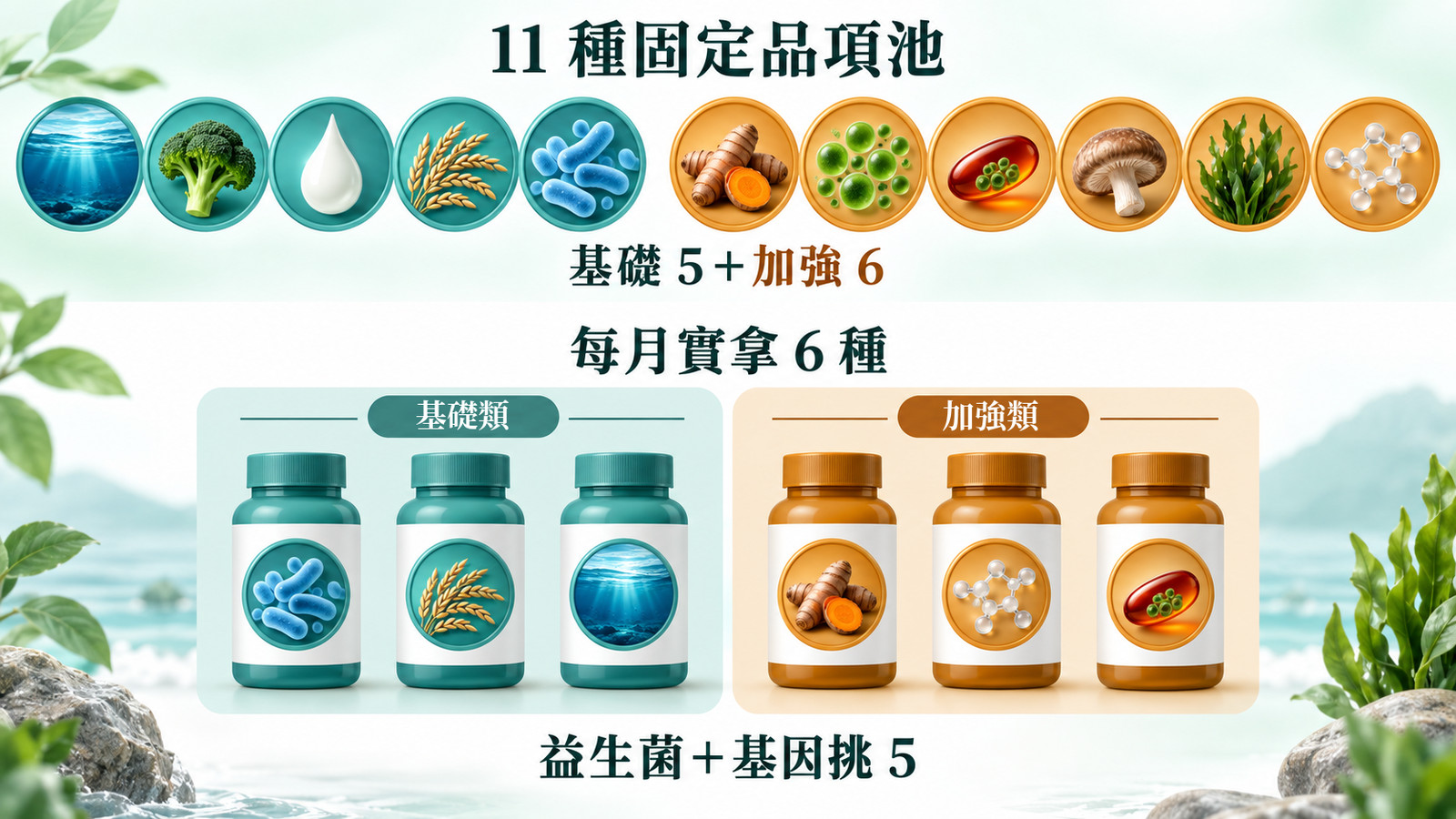保健食品成分 | 品項池與每月配方：上排 11 種固定品項清楚分基礎 5＋加強 6，下排每月實拿 6 種，益生菌固定 1 種包含在內、再加基因挑 5 種，並分基礎類 3 種、加強類 3 種兩組隔天交替。