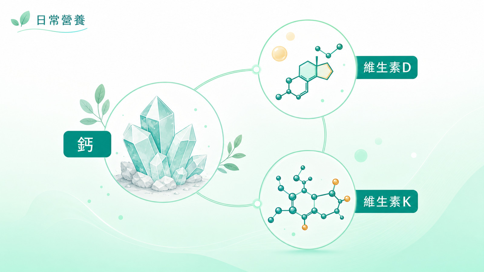 Calcium and its partner nutrients in everyday nutrition for older adults: a calcium icon beside vitamin D and vitamin K molecule icons, joined by soft lines to show the three are taken as one set.