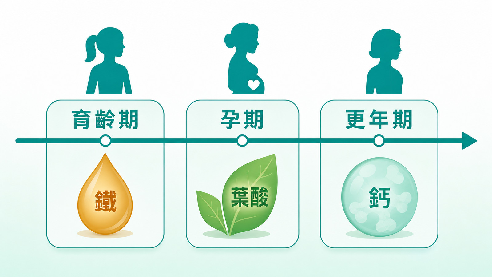 女性保健食品完整指南 | 人生階段營養需求時間軸：育齡期、孕期、更年期三格，各配女性圖示與重點營養素——育齡期配鐵、孕期配葉酸、更年期配鈣，說明女性葉酸、鐵、鈣不同階段優先順序不同，需依個人化挑選。