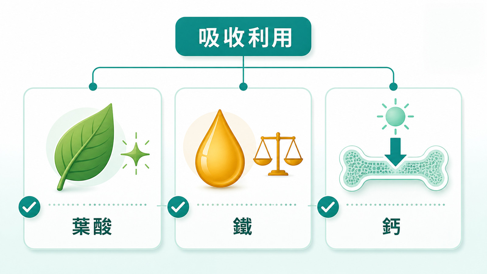 女性保健食品完整指南 | 三大營養吸收利用：葉酸、鐵、鈣三個圖示，分別標示活性形式、適量不過量、需維生素D幫助並把鈣導入骨頭，強調挑對形式比劑量更重要。