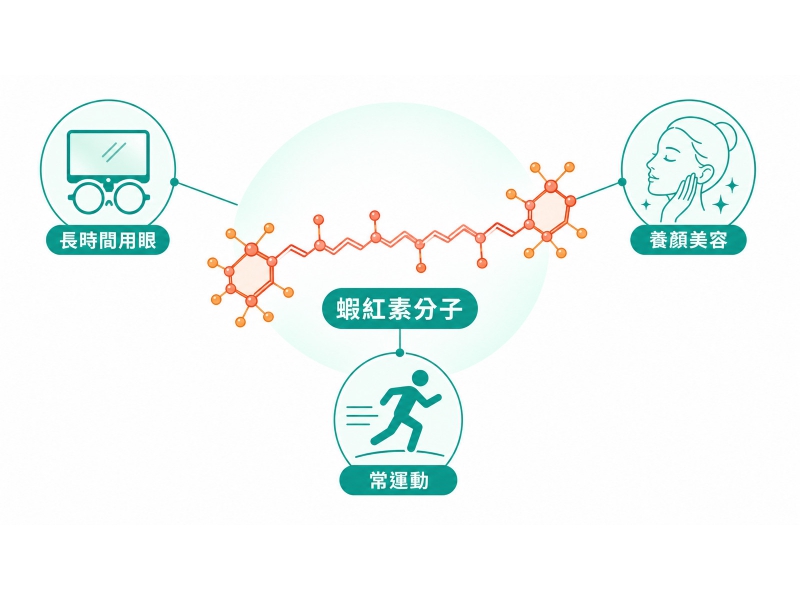 蝦紅素功效是什麼？怎麼挑、誰適合的白話整理