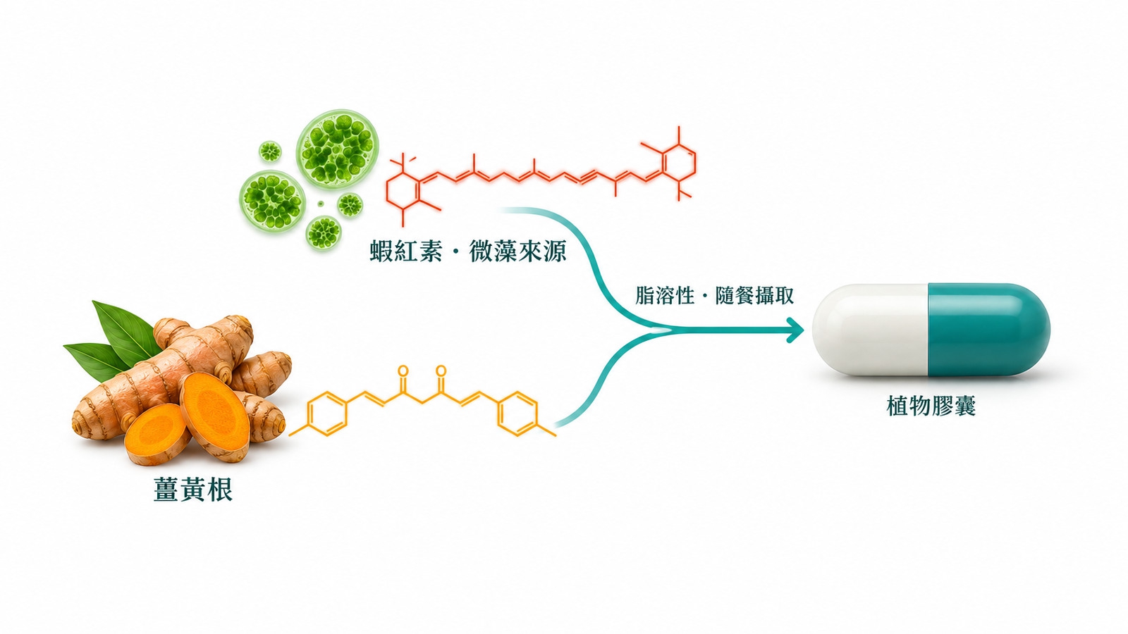 薑黃素 C3 Complex 是什麼？薑黃補充該怎麼挑