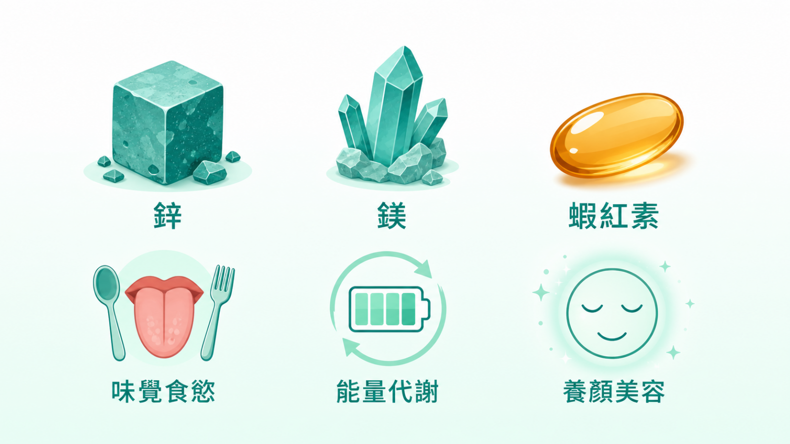 男性保健食品 | 鋅、鎂的營養功能與蝦紅素的日常保養定位示意。