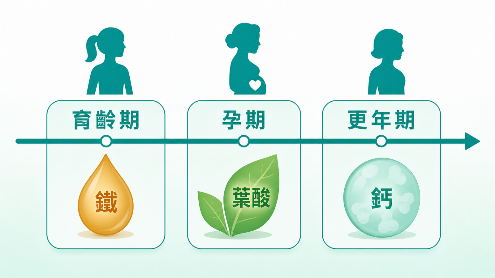 女性保健食品完整指南 | 人生階段營養需求時間軸:育齡期、孕期、更年期三格,各配女性圖示與重點營養素——育齡期配鐵、孕期配葉酸、更年期配鈣,說明女性葉酸、鐵、鈣不同階段優先順序不同,需依個人化挑選。