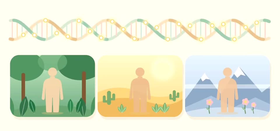 DNA 與三種不同氣候帶，比喻每個人不同的基因底子