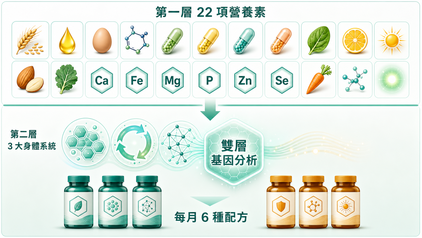 精準營養|BLNC 雙層演算法