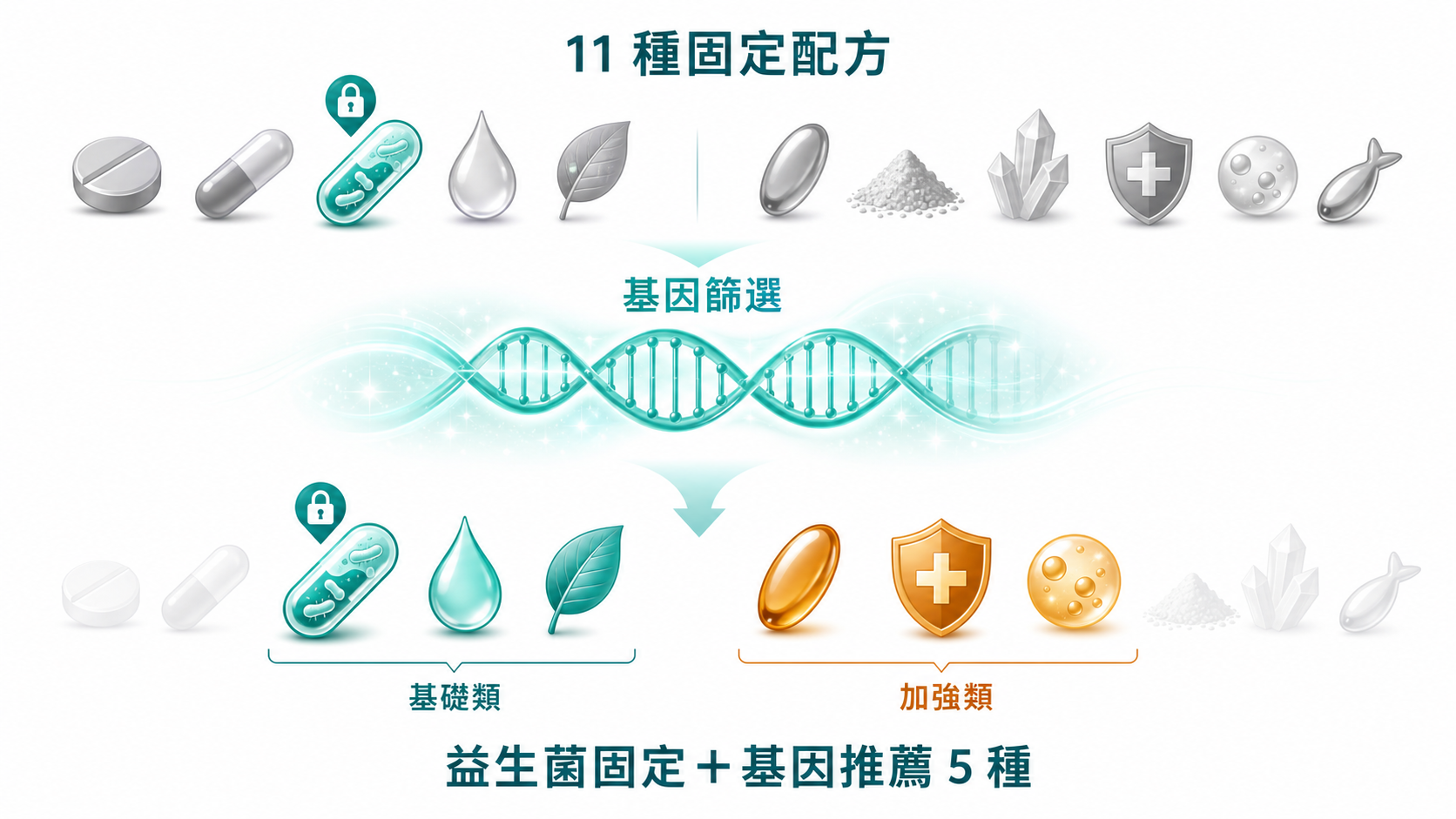 精準營養|11 選 6 精準篩選