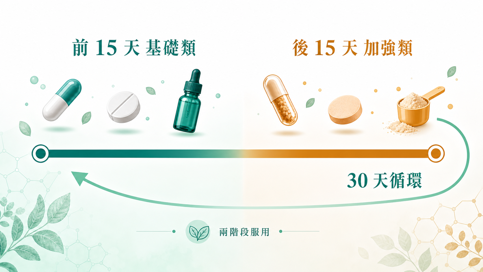精準營養|30 天兩階段服用節奏