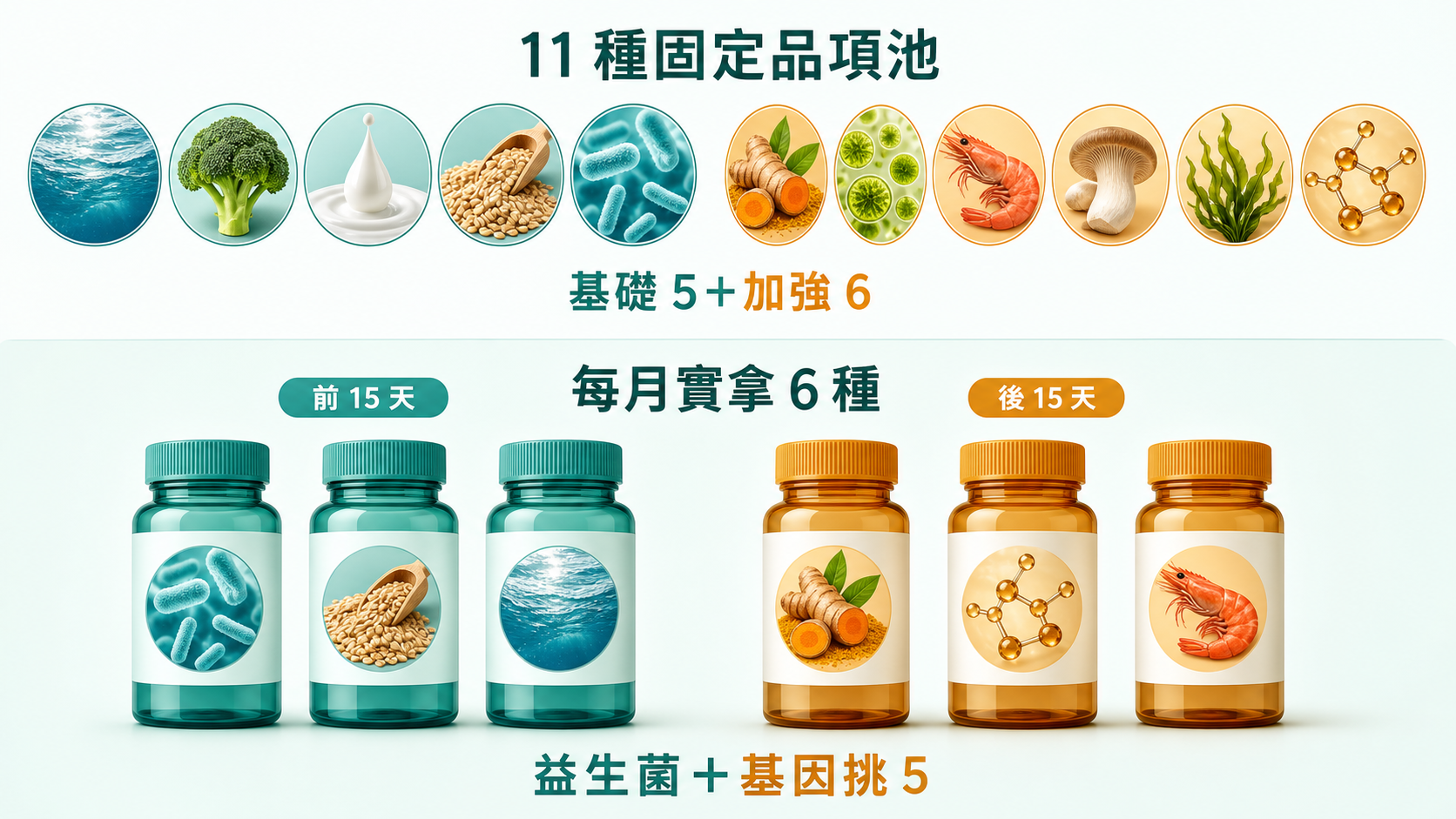 保健食品成分|為什麼分基礎與加強兩類