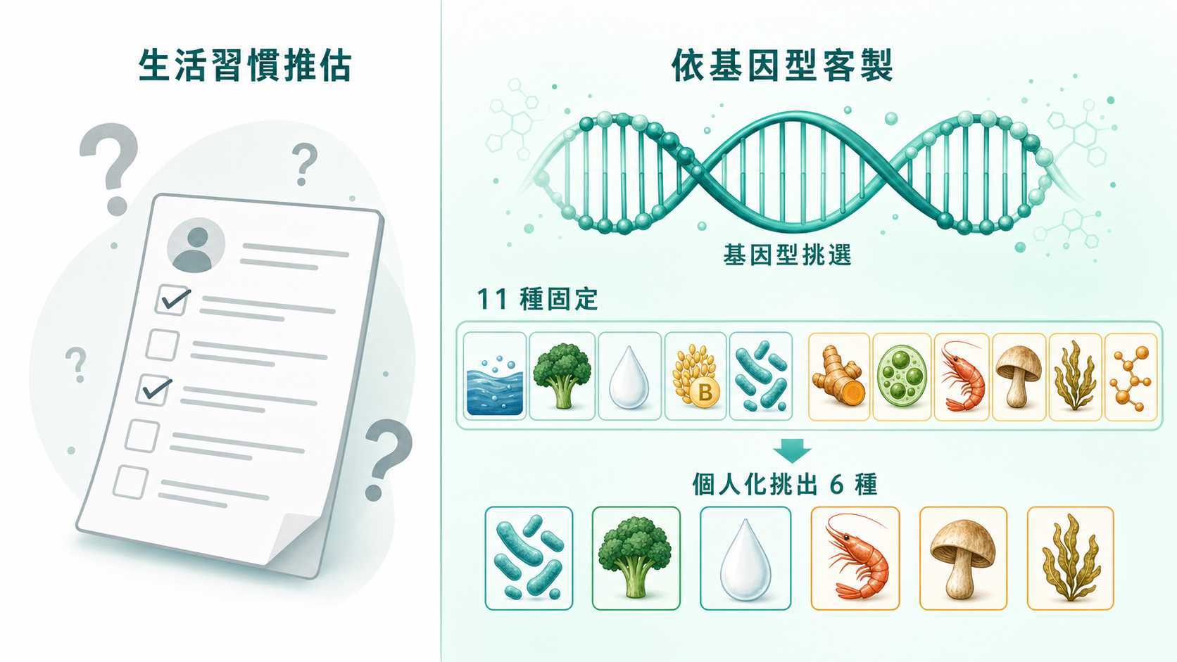 保健食品成分|11 選 6 是怎麼配出來的