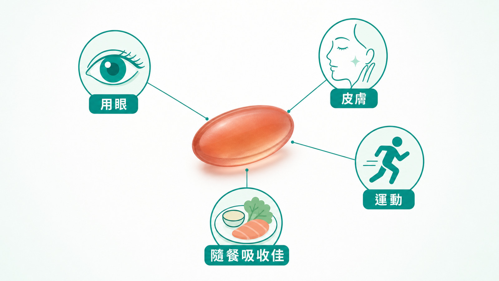 蝦紅素功效 | 蝦紅素日常應用示意:用眼、皮膚、運動三大保養面向,並標示隨餐脂溶吸收較佳。