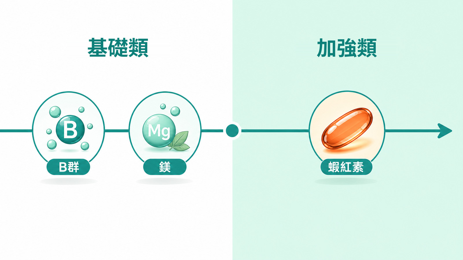 運動保健食品 | 兩組交替的月配方:基礎類(B群、鎂)與加強類(蝦紅素)隔天輪著吃。