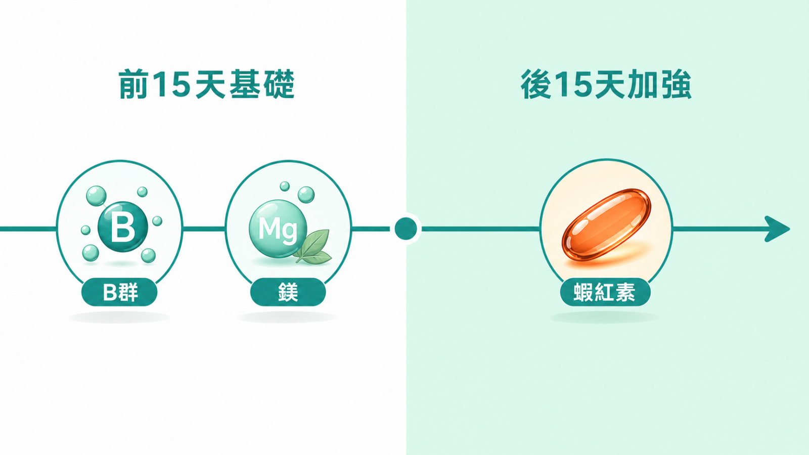 運動保健食品 | 兩階段月配方:前 15 天基礎打底(B群、鎂),後 15 天日常保養加強(蝦紅素)。