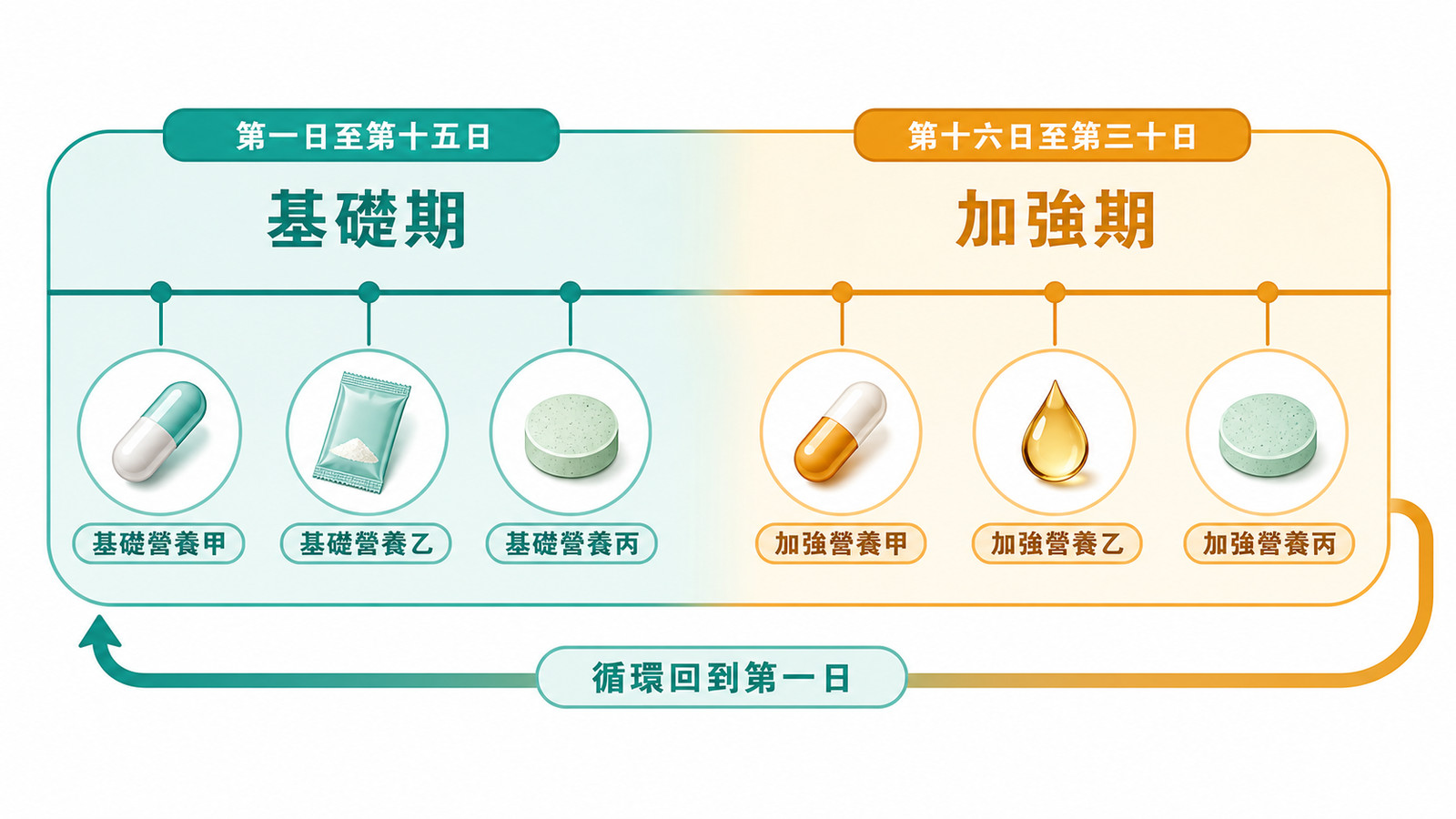 30 天循環時間軸:前 15 天基礎打底 3 種、後 15 天加強深化 3 種的兩階段服用配方設計