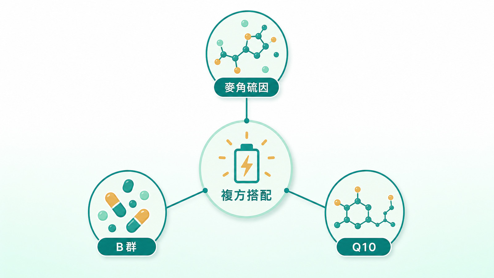 麥角硫因功效 | 複方搭配:麥角硫因與 B 群、Q10 組成這支加強配方(B 群對應能量代謝,Q10 為複方搭配成分),說明搭配邏輯。