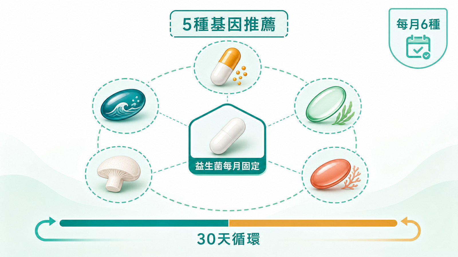 上班族保健食品每月組合圖:中央益生菌固定,外圈 5 種基因推薦配方,搭配 30 天前後兩階段循環,合計每月 6 種。