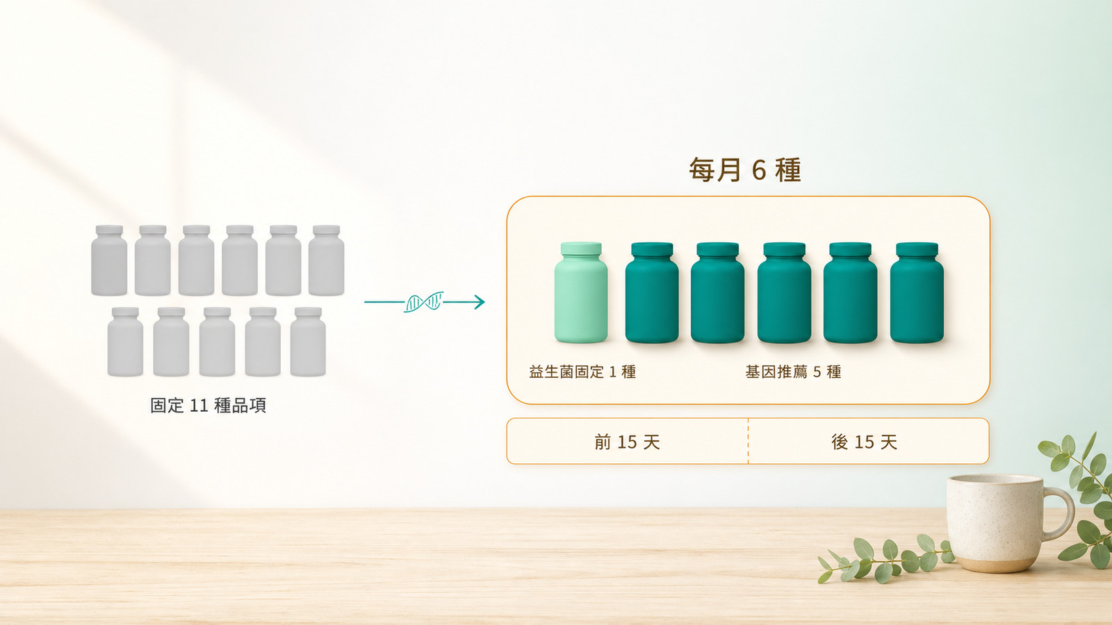 一體適用保健食品迷思 | 從 11 種挑出 6 種:左邊固定 11 種品項的灰色罐群,箭頭指向當月組合,益生菌固定 1 種加基因推薦 5 種構成每月 6 種,下方分前 15 天、後 15 天。