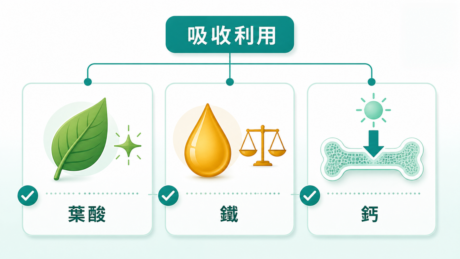 女性保健食品完整指南 | 三大營養吸收利用:葉酸、鐵、鈣三個圖示,分別標示活性形式、適量不過量、需維生素D幫助並把鈣導入骨頭,強調挑對形式比劑量更重要。
