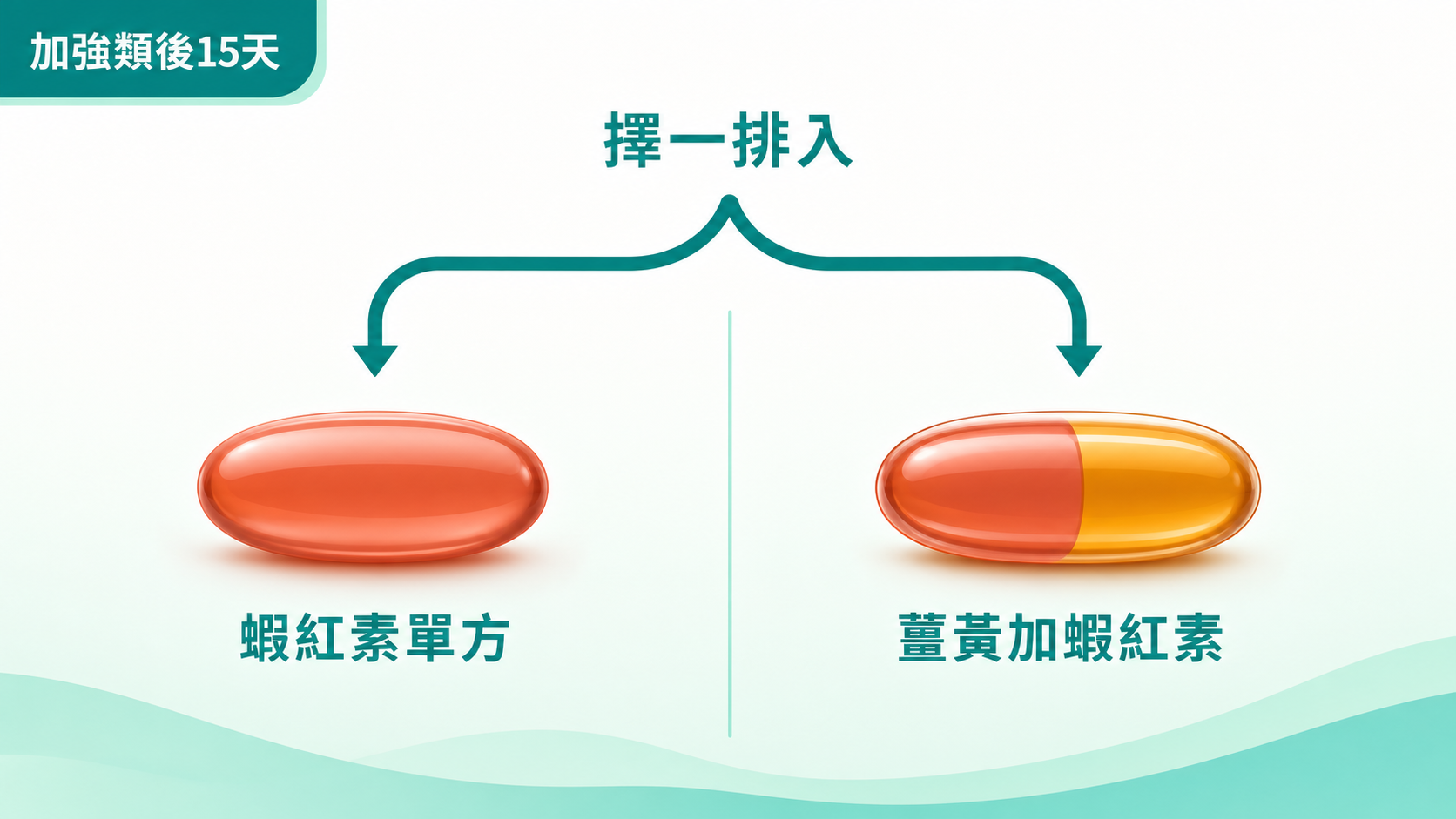 蝦紅素功效 | 兩支配方比較:蝦紅素單方與薑黃加蝦紅素,依個人需求擇一排入後 15 天加強類。