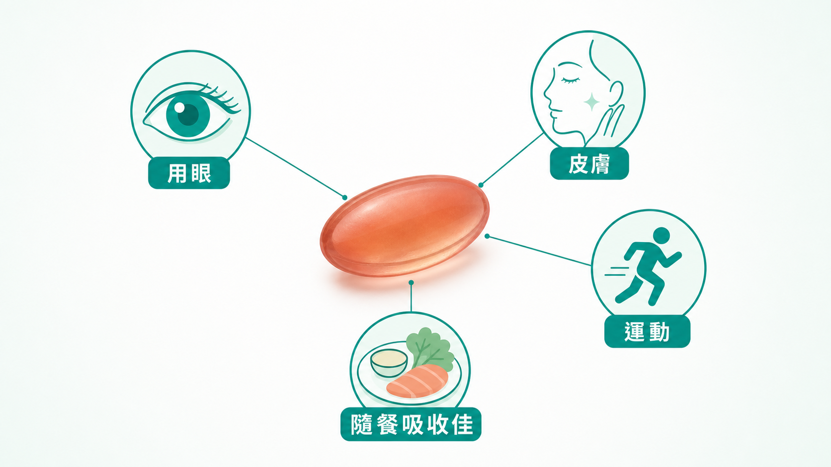 蝦紅素功效 | 蝦紅素日常應用示意:用眼、皮膚、運動三大保養面向,並標示隨餐脂溶吸收較佳。