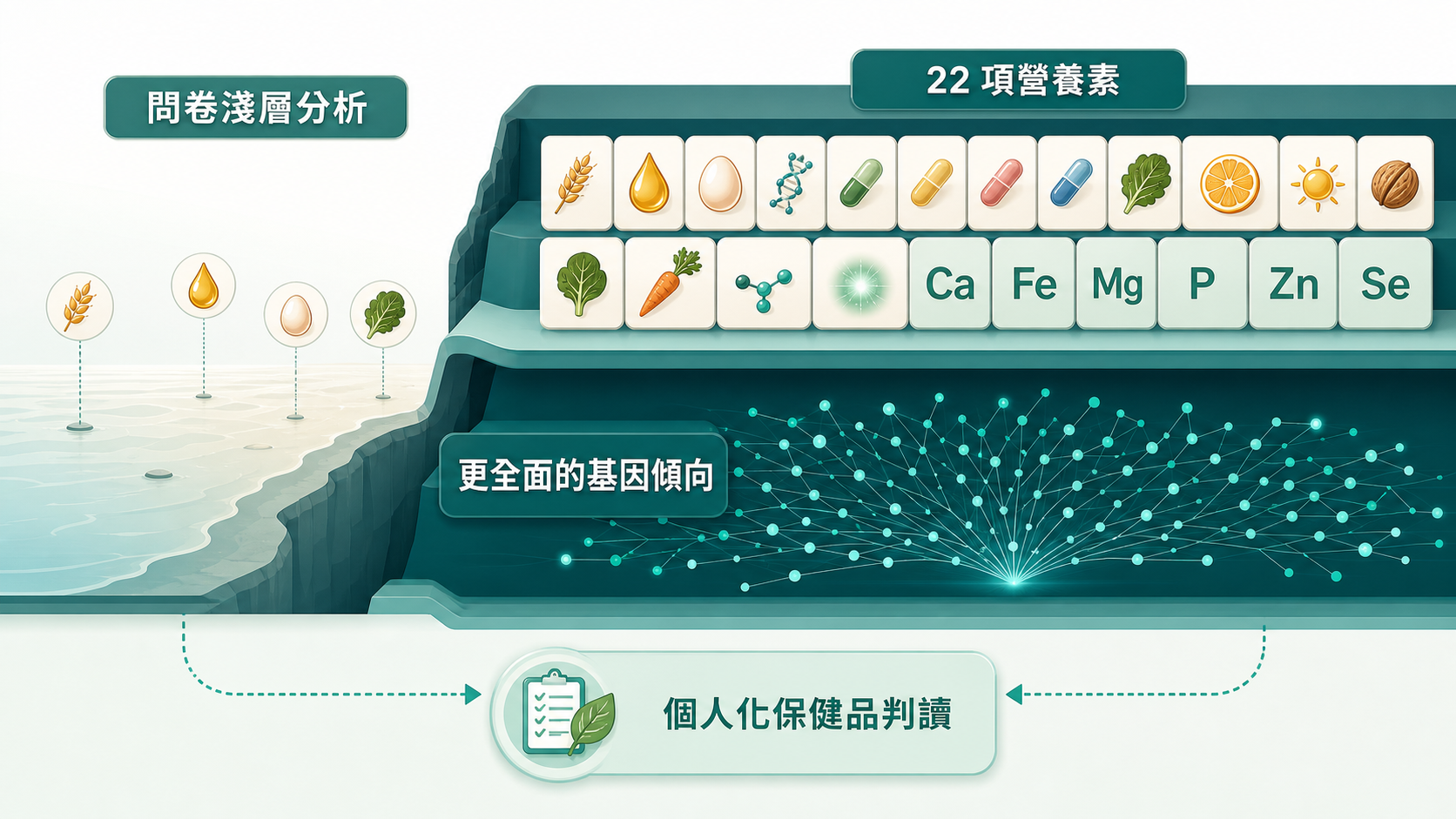 個人化保健品的雙層判讀示意圖:問卷淺層分析、22 項營養素、更全面的基因傾向。左邊問卷淺層分析,右邊分層呈現 22 項營養素與更全面的基因傾向的個人化判讀。