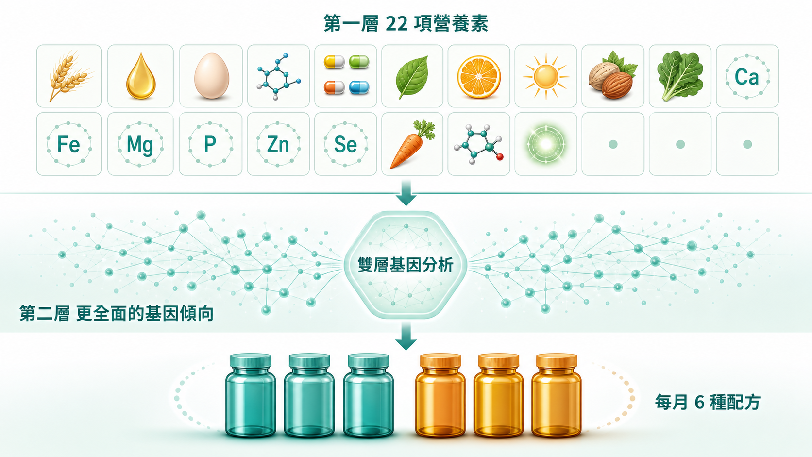 精準營養 | 雙層演算法:上層為清楚可數的 22 項營養素基因標記、下層為更全面的基因傾向抽象圖示分層呈現,經雙層基因分析在中央節點綜合判讀,挑出每月 6 種配方。